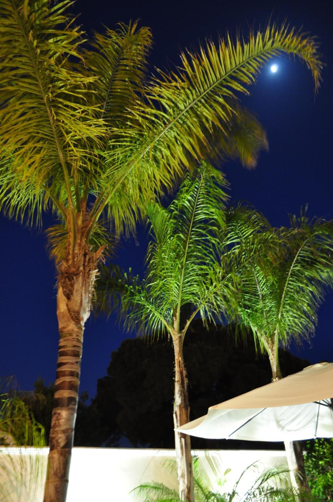 7 Contrade Bed and Breakfast Ταράντο Εξωτερικό φωτογραφία